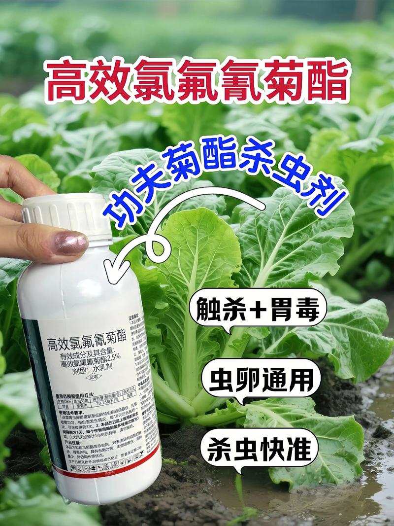 商洛代生中心:农药对供卵代生妈妈的危害